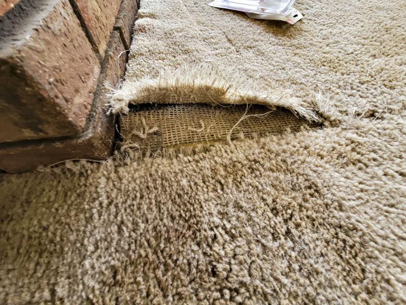 Carpet Burn Repair in Olathe, KS