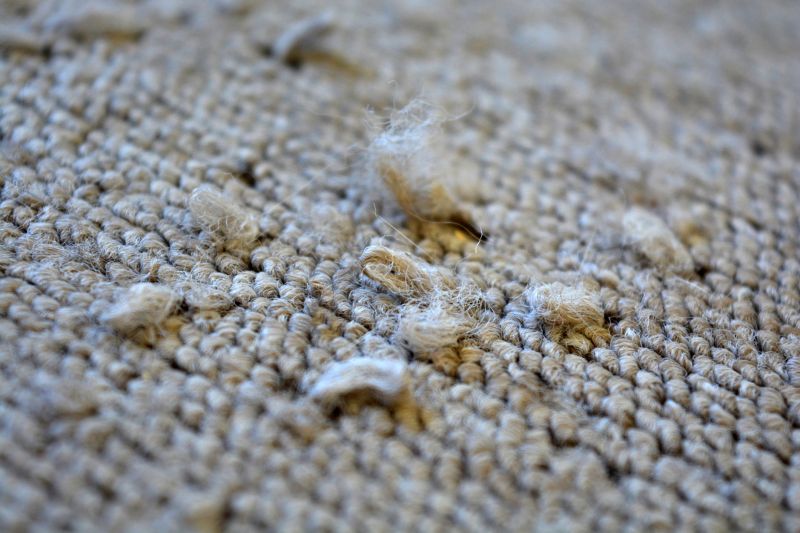 Carpet Foam Replacement in Overland Park, KS