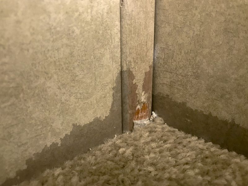 Carpet Patching in Overland Park, KS